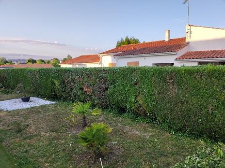 Le jardinage revient avec la belle saison